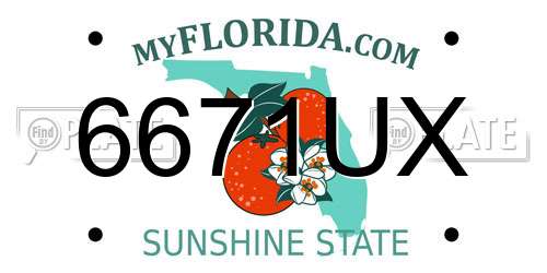 6671UX Florida License Plate