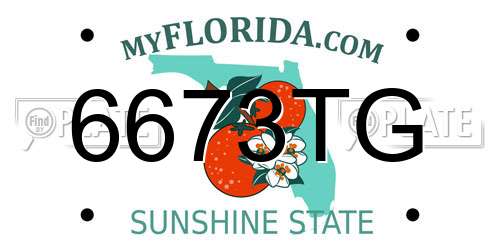 6673TG Florida License Plate