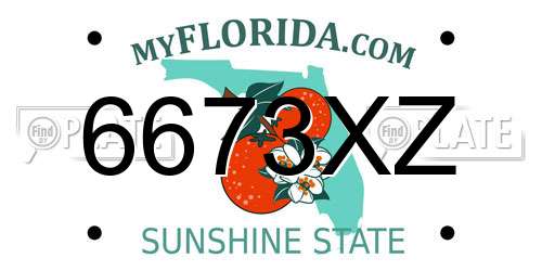 6673XZ Florida License Plate