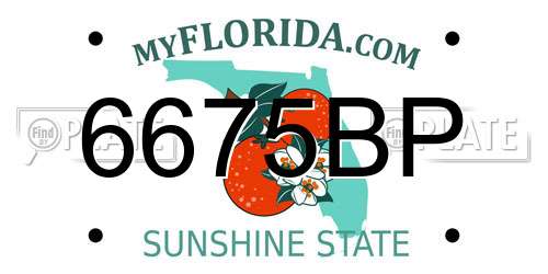 6675BP Florida License Plate