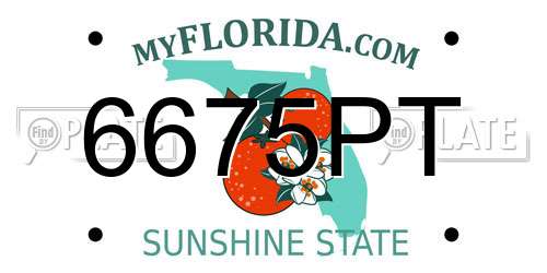 6675PT Florida License Plate