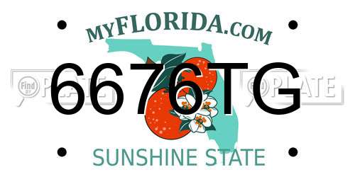 6676TG Florida License Plate