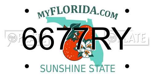 6677RY Florida License Plate