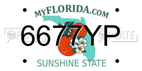 6677YP Florida License Plate