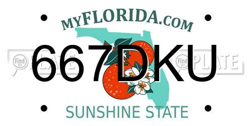 667DKU Florida License Plate