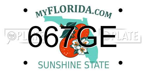 667GE Florida License Plate