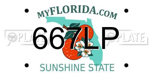 667LP Florida License Plate