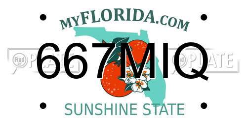 667MIQ Florida License Plate