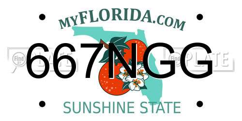 667NGG Florida License Plate