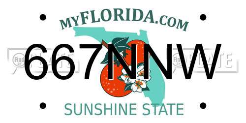 667NNW Florida License Plate