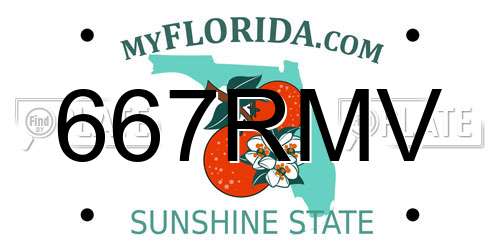 667RMV Florida License Plate