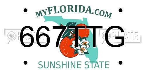 667TTG Florida License Plate