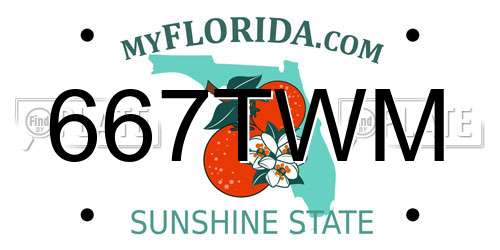 667TWM Florida License Plate