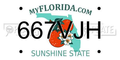 667VJH Florida License Plate
