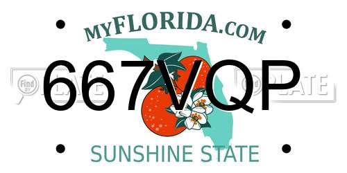 667VQP Florida License Plate