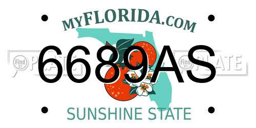 6689AS Florida License Plate