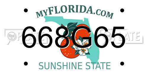 668G65 Florida License Plate