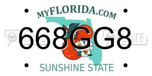 668GG8 Florida License Plate