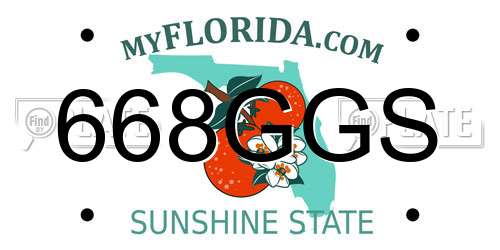 668GGS Florida License Plate