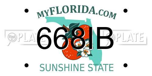 668IB Florida License Plate