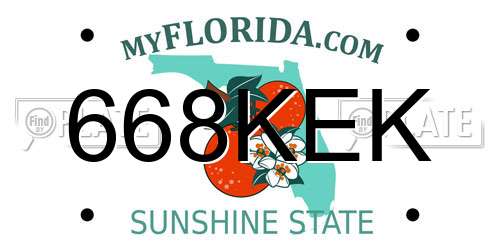668KEK Florida License Plate