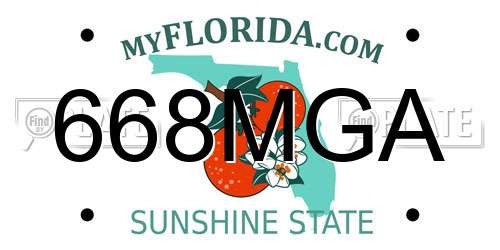668MGA Florida License Plate