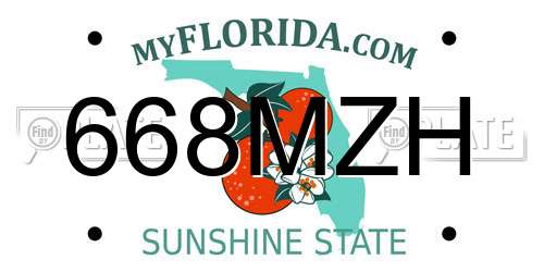 668MZH Florida License Plate