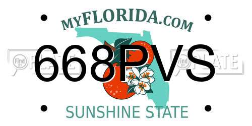 668PVS Florida License Plate