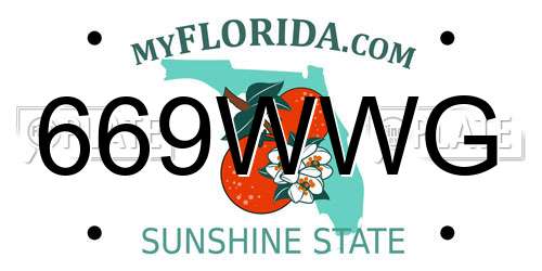 669WWG Florida License Plate