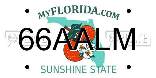 66AALM Florida License Plate
