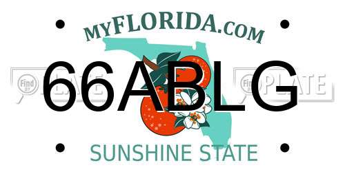 66ABLG Florida License Plate