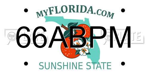 66ABPM Florida License Plate