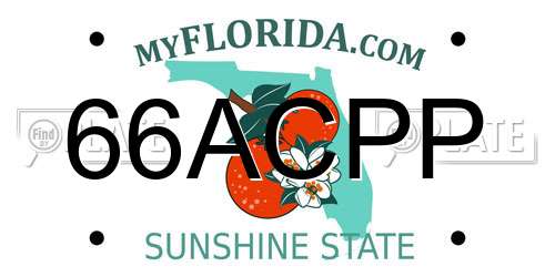 66ACPP Florida License Plate
