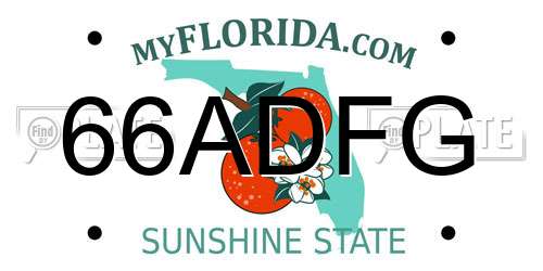 66ADFG Florida License Plate