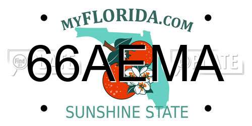 66AEMA Florida License Plate