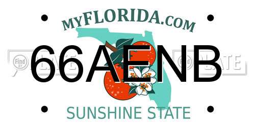 66AENB Florida License Plate
