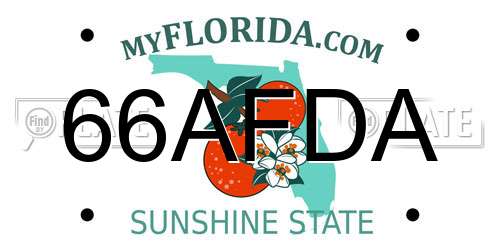 66AFDA Florida License Plate