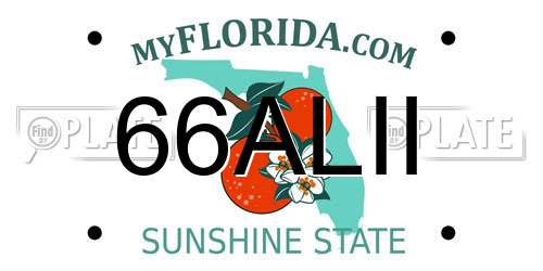 66ALII Florida License Plate