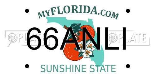 66ANLI Florida License Plate