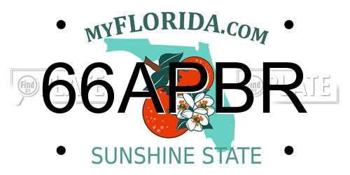 66APBR Florida License Plate