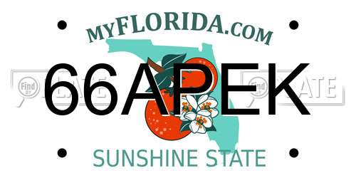 66APEK Florida License Plate