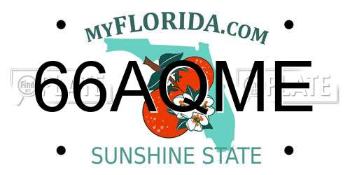 66AQME Florida License Plate