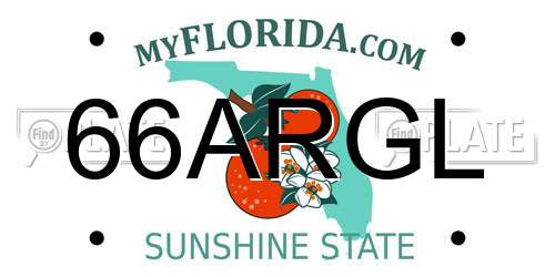 66ARGL Florida License Plate