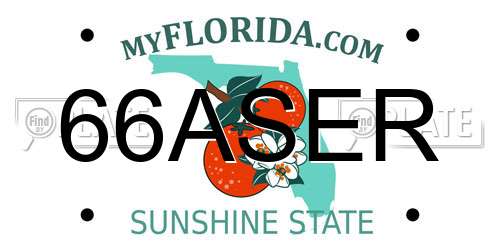 66ASER Florida License Plate