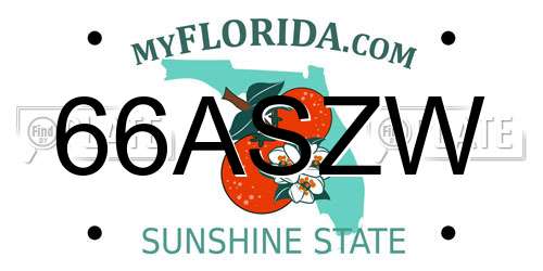 66ASZW Florida License Plate