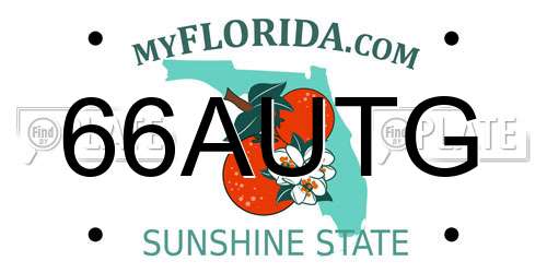 66AUTG Florida License Plate