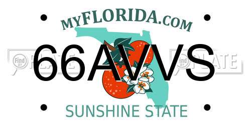 66AVVS Florida License Plate