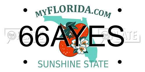 66AYES Florida License Plate