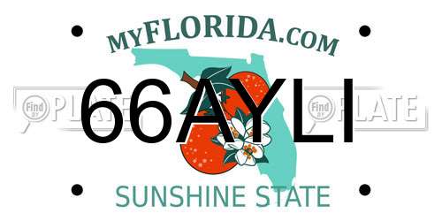 66AYLI Florida License Plate