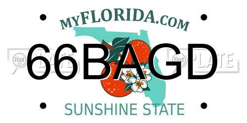 66BAGD Florida License Plate